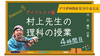 アリが仲間を見抜く力【村上先生の理科の授業4時間目】ダイジェスト