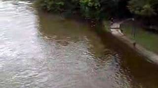 Weser Hochwasser