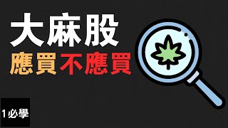 如何投資大麻股? 有什麼類型的大麻股和這個新興產業的好與壞? 全方位剖析！