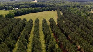 County Agricultural Close-Up: Charlotte County
