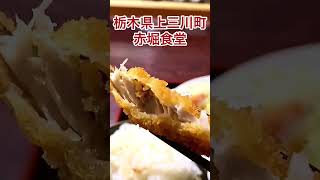 【栃木グルメ】黒チャーハンとサクふわアジフライ定食！【栃木県上三川町】あか堀