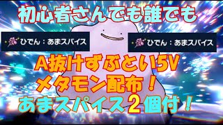 【ポケモンSV】星6レイドA抜け5Vずぶといメタモン！あまスパイス2個付配布!初心者の方でも参加どうぞ!【レイド募集】