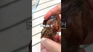 도구 없이 맨손으로! 밤 껍질🌰 쉽게 까는 초간단 꿀팁 대공개!