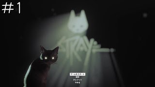 【夫婦実況】あいにゃ家、猫になる【STRAY】 #1