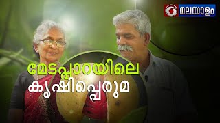 മേടപ്പാറയിലെ കൃഷിപ്പെരുമ  | കൃഷിദർശൻ മലയാളം