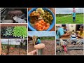 VLOG DE DOIS DIAS AQUI NA ROÇA| REFIZEMOS A CERCA DA HORTA| TRATANDO DAS CRIAÇÃO 🐖🐓🐟| MUITA CHUVA !!