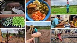 VLOG DE DOIS DIAS AQUI NA ROÇA| REFIZEMOS A CERCA DA HORTA| TRATANDO DAS CRIAÇÃO 🐖🐓🐟| MUITA CHUVA !!