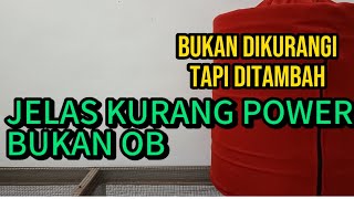 BURUNG SEPERTI INI BUKAN OB JANGAN SAMPAI SALAH