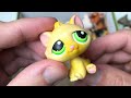 baÚ dos brinquedos fofos littlest petshop peter toys