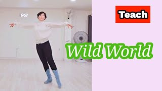 Teach🎓Wild World linedance#Intermediate level#최윤선라인댄스#KoScaa#강릉라인댄스