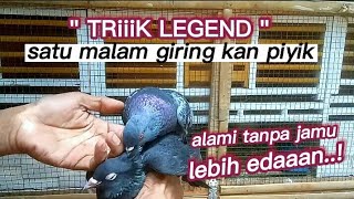 triiik legend..! satu malam giring kan piyik