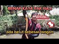 BENAR KATA PAK HAJI‼️disini masih ada belut mandahong