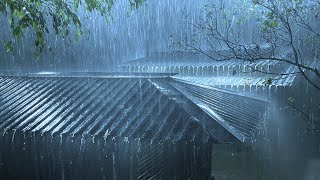 Goodbye Stress to Deep Sleep in 3 Minutes with Heavy Rain & Thunderstorm Sounds on Tin Roof at Night