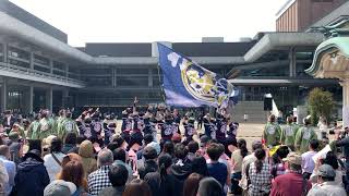 よさこいチームかざみどり「灘一」20190407桜よさこい ロームシアター