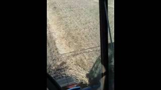 Threshing Barley with 860 Massey Ferguson combines...