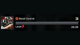 Tarkov And Automatic Recoil Compensation
