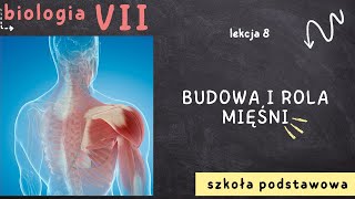 Biologia 7 [Lekcja 8 - Budowa i rola mięśni]