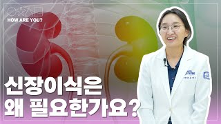 9가지 신장이식에 대한 궁금증 타파! [인천성모병원 10분 하와유] 윤혜은 신장내과 교수