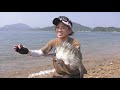 433 瀬戸内の離島で興じるチヌ釣り～潮風わたる晩夏の渚～