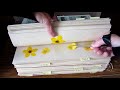 peeking at pressed flowers for crafts and arrangements part 1