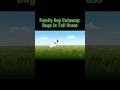 Family Guy Cutaway: Dogs in Tall Grass #shorts #funny