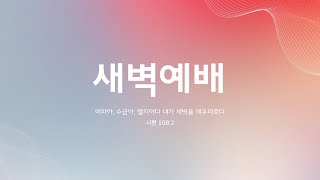 새지음교회 [화 새벽] 하나님 기억하여 주옵소서 (욥 14:13-15) | 조은숙 전도사 2025-01-21