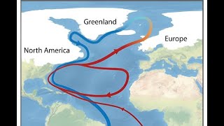 Is AMOC Collapse Imminent?