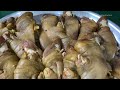 huge quantity of making siri paye peshawar best street food beef paye authentic paya recipe