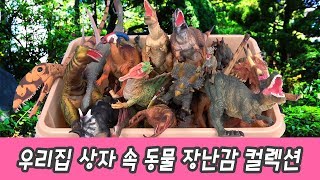 한국어ㅣ우리집 상자 속 공룡 장난감 컬렉션, 공룡이름 맞추기, 컬렉타 피규어ㅣ꼬꼬스토이