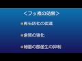 歯と口の健康週間2016年 第1回（小池吉彦医師）