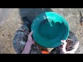 gold panning on the north saskatchewan river