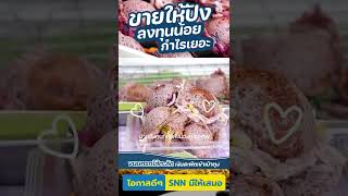 ขนมครกไส้ทะลัก!!! ขายให้ปัง ลงทุนน้อย กำไรเยอะ [โอกาสดี ๆ... SNN มีให้เสมอ]