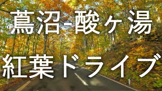 【ドライブ】蔦沼から酸ヶ湯 八甲田十和田ゴールドライン【国道103号】4K60P HDR