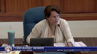 37th Guam Legislature FY2024 Budget Session - August 14, 2023 PM