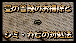 畳の普段のお掃除とシミ・カビの対処法