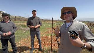 Makmel Wine: Discovering the Terroir of Deir el Ahmar with Chadi Dirani. Lebanon's Highest Grapes