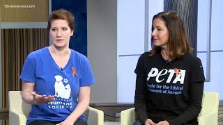 Noon interview: Homeless Animals Awareness Week