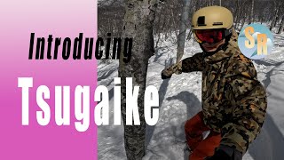 Introducing Hakuba Valley: Tsugaike