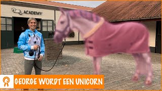 GEORGE KRIJGT ROZE HAAR + winactie | PaardenpraatTV