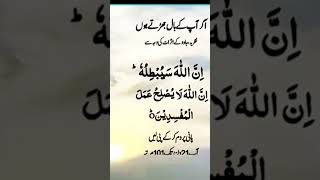 No more hair fall|dua|wazifa|daily wazaif|quran|islam|recite|spiritua#shorts #foryou @upedia786