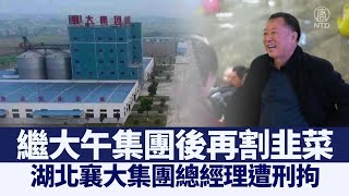 繼大午集團後 湖北襄大集團總經理遭刑拘｜@ChinaBreakingNewsTV ｜2021065