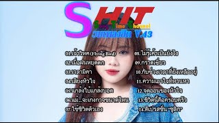 รวมเพลงฮิต V.43