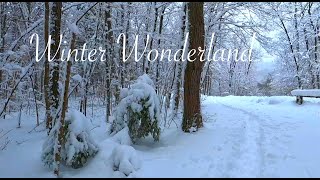 4k 🇨🇦 Relaxing winter songs with beautiful sceneries | Winter Wonderland Canada