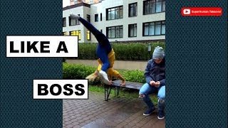 LIKE A BOSS COMPILATION  🔥  Fitness workout Amazing People 2019🔥 2