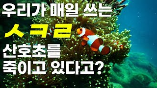 우리가 매일 사용하는, 생각지 못한 물건이  해양 오염의 원인...?