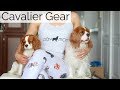 CAVALIER KING CHARLES GEAR + ACCESSORIES | Review of Cavlife products | Herky the Cavalier