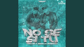 No Se Si Tu (feat. Adan la Amenaza \u0026 Trankilandia)