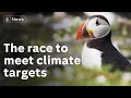 COP26: Will Glasgow conference force UK to meet climate targets?