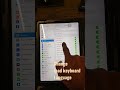 How to change keyboard language in ipad pro