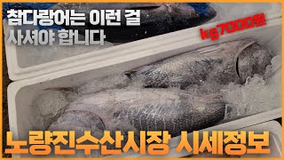 참다랑어는 이런 걸 사셔야 합니다!!!새벽 노량진수산시장 시세정보!!